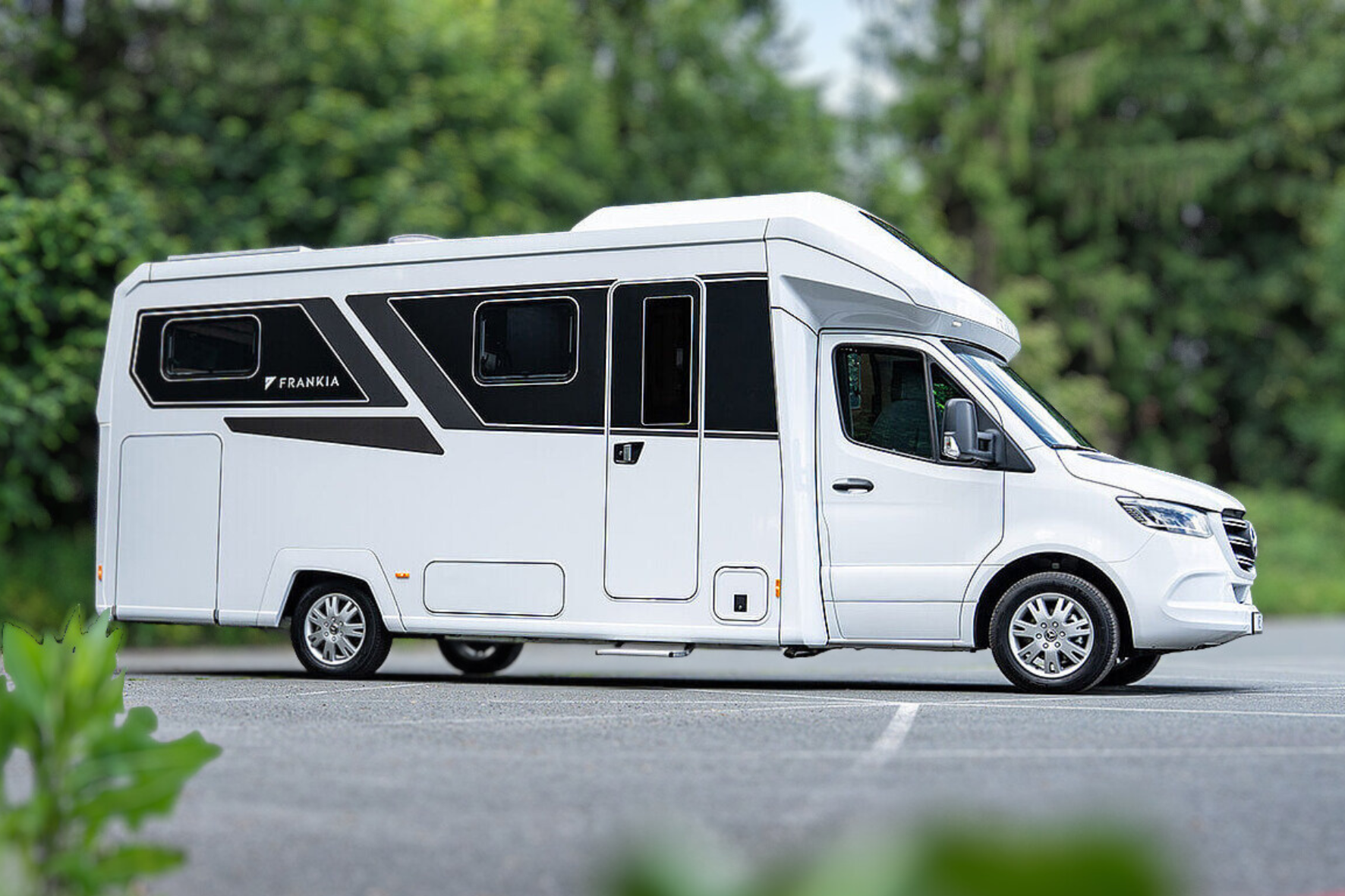 Frankia Noctra matkasuvila Frankia Noctra matkasuvila